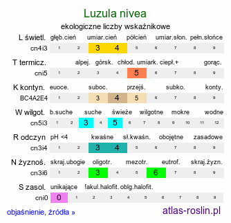 ekologiczne liczby wskaźnikowe Luzula nivea (kosmatka śnieżna)