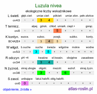 ekologiczne liczby wskaźnikowe Luzula nivea (kosmatka śnieżna)