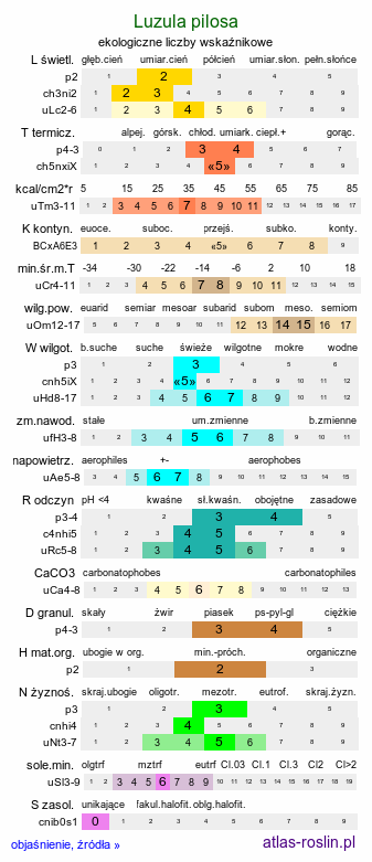 ekologiczne liczby wskaźnikowe Luzula pilosa (kosmatka owłosiona)