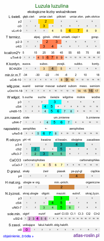 ekologiczne liczby wskaźnikowe Luzula luzulina (kosmatka żółtawa)