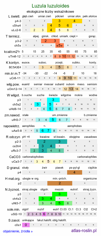 ekologiczne liczby wskaźnikowe Luzula luzuloides (kosmatka gajowa)