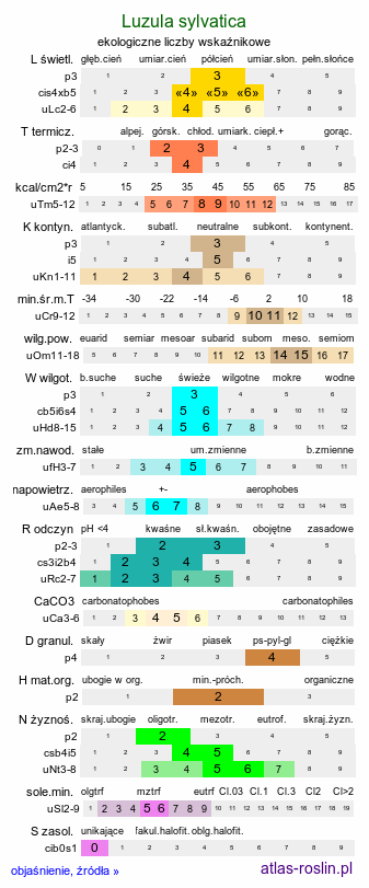 ekologiczne liczby wskaźnikowe Luzula sylvatica (kosmatka olbrzymia)