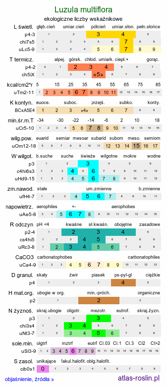 ekologiczne liczby wskaźnikowe Luzula multiflora (kosmatka licznokwiatowa)