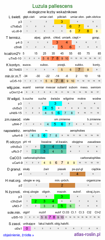 ekologiczne liczby wskaźnikowe Luzula pallescens (kosmatka blada)