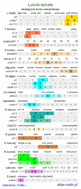 ekologiczne liczby wskaźnikowe Luzula spicata (kosmatka kłosowa)