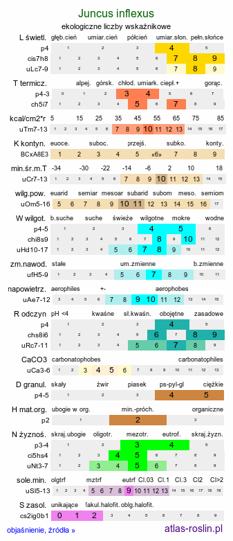 ekologiczne liczby wskaźnikowe Juncus inflexus (sit siny)