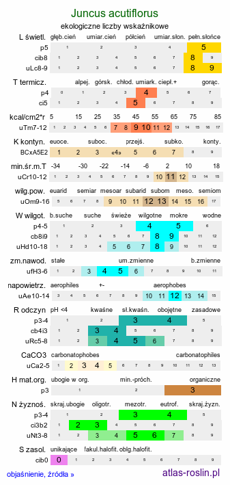 ekologiczne liczby wskaźnikowe Juncus acutiflorus (sit ostrokwiatowy)