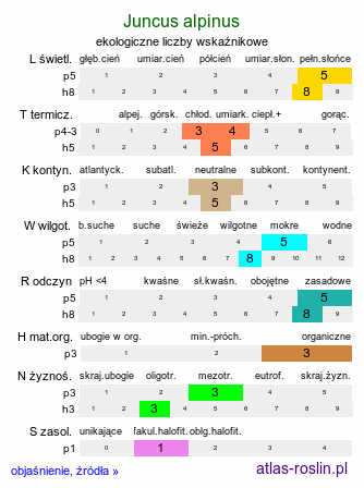 ekologiczne liczby wskaźnikowe Juncus alpinus (sit alpejski)