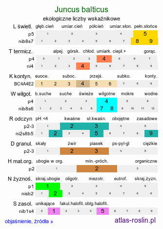 ekologiczne liczby wskaźnikowe Juncus balticus (sit bałtycki)