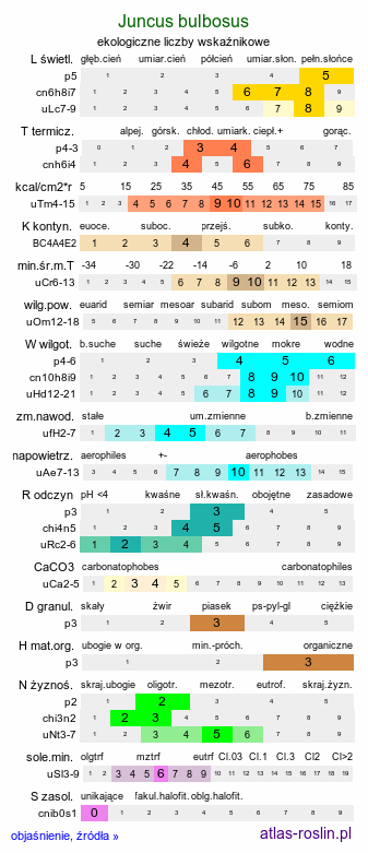 ekologiczne liczby wskaźnikowe Juncus bulbosus (sit drobny)