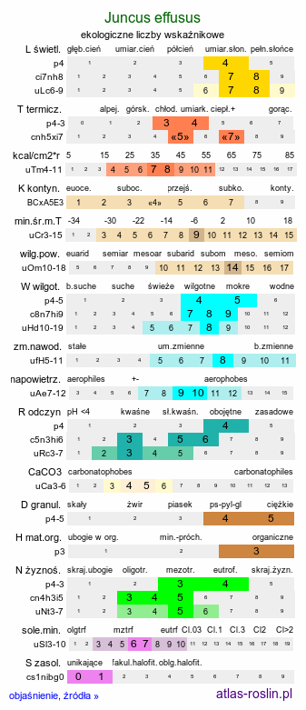 ekologiczne liczby wskaźnikowe Juncus effusus (sit rozpierzchły)