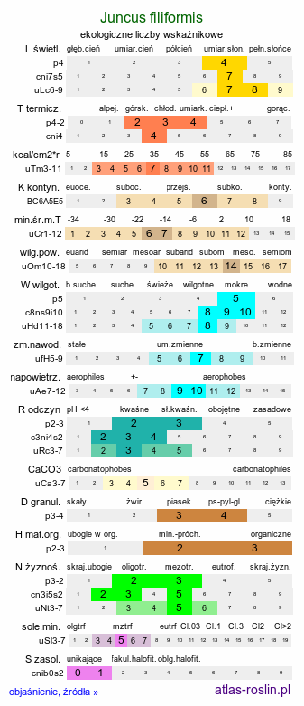 ekologiczne liczby wskaźnikowe Juncus filiformis (sit cienki)