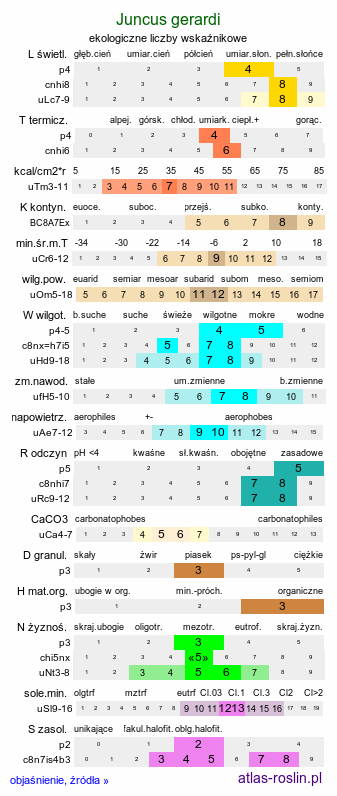 ekologiczne liczby wskaźnikowe Juncus gerardi (sit Gerarda)