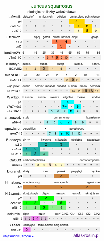 ekologiczne liczby wskaźnikowe Juncus squarrosus (sit sztywny)