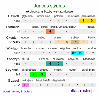 ekologiczne liczby wskaźnikowe Juncus stygius (sit torfowy)