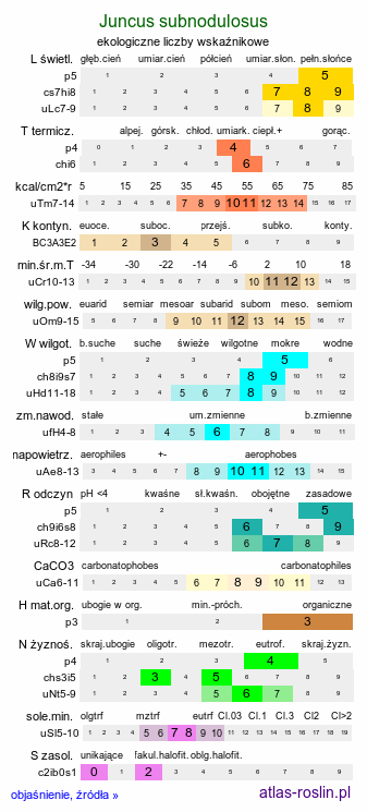 ekologiczne liczby wskaźnikowe Juncus subnodulosus (sit tępokwiatowy)