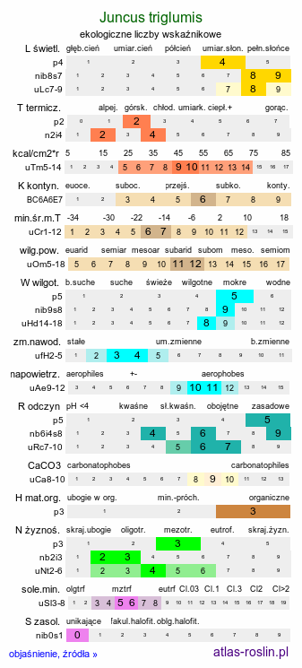 ekologiczne liczby wskaźnikowe Juncus triglumis (sit trójłuskowy)