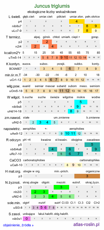 ekologiczne liczby wskaźnikowe Juncus triglumis (sit trójłuskowy)