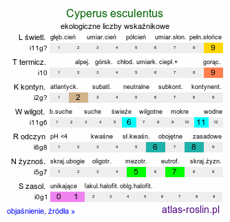 ekologiczne liczby wskaźnikowe Cyperus esculentus (cibora jadalna)