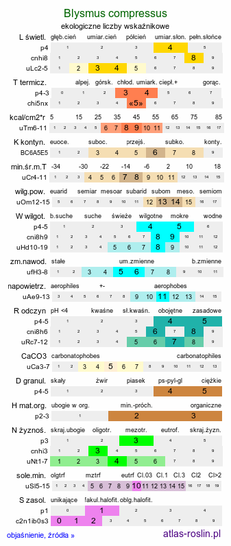 ekologiczne liczby wskaźnikowe Blysmus compressus (ostrzew spłaszczony)