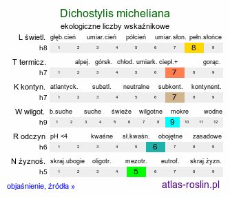 ekologiczne liczby wskaźnikowe Dichostylis micheliana (dichostylis Michela)