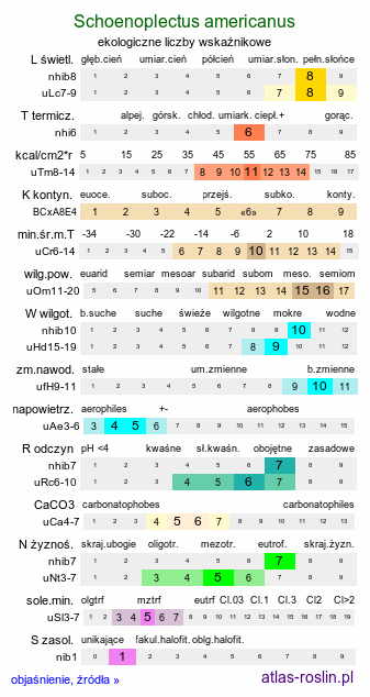 ekologiczne liczby wskaźnikowe Schoenoplectus americanus (oczeret amerykański)