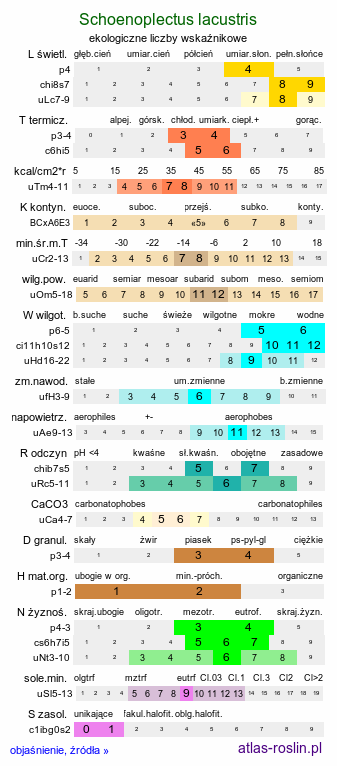 ekologiczne liczby wskaźnikowe Schoenoplectus lacustris (oczeret jeziorny)