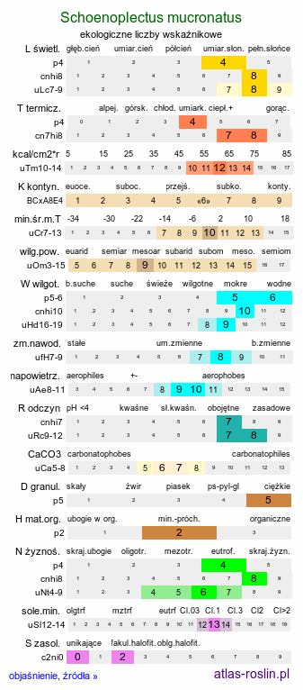 ekologiczne liczby wskaźnikowe Schoenoplectus mucronatus (oczeret sztyletowaty)