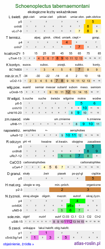 ekologiczne liczby wskaźnikowe Schoenoplectus tabernaemontani (oczeret Tabernaemontanusa)