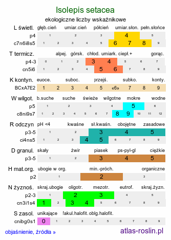 ekologiczne liczby wskaźnikowe Isolepis setacea (sitniczka szczecinowata)