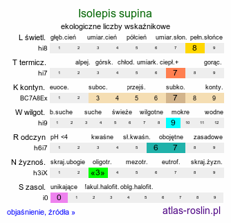 ekologiczne liczby wskaźnikowe Isolepis supina (sitniczka drobna)