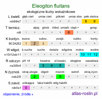 ekologiczne liczby wskaźnikowe Eleogiton fluitans (sitnik pływający)