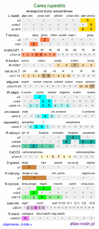 ekologiczne liczby wskaźnikowe Carex rupestris (turzyca skalna)