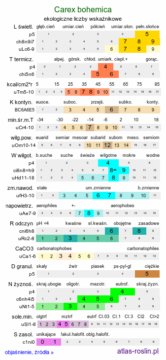 ekologiczne liczby wskaźnikowe Carex bohemica (turzyca ciborowata)