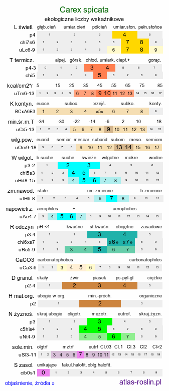 ekologiczne liczby wskaźnikowe Carex spicata (turzyca ściśniona)