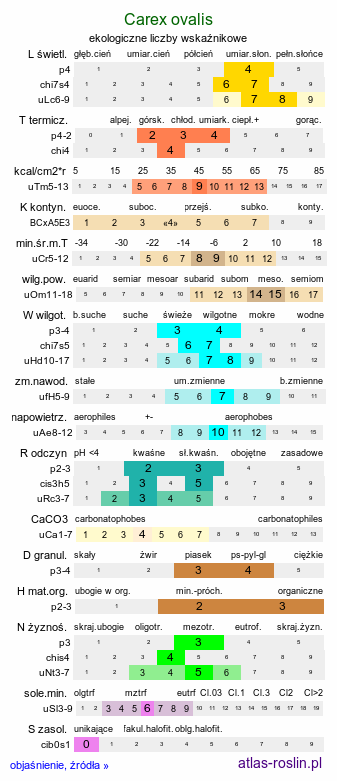 ekologiczne liczby wskaźnikowe Carex ovalis (turzyca zajęcza)