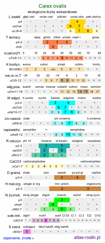 ekologiczne liczby wskaźnikowe Carex ovalis (turzyca zajęcza)