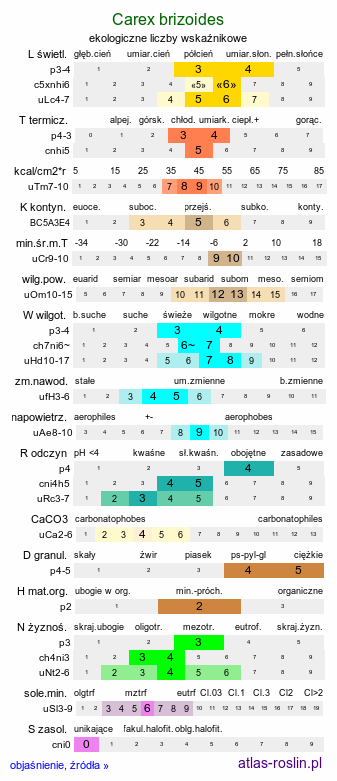 ekologiczne liczby wskaźnikowe Carex brizoides (turzyca drżączkowata)