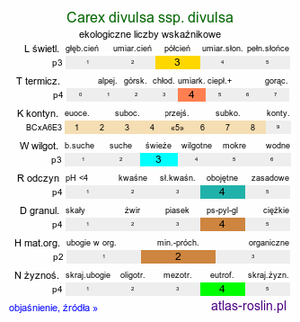 ekologiczne liczby wskaźnikowe Carex divulsa ssp. divulsa (turzyca rozsunięta)