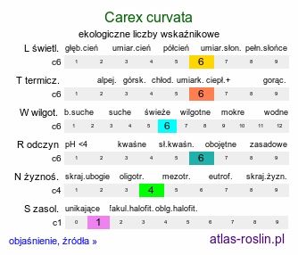 ekologiczne liczby wskaźnikowe Carex curvata (turzyca odgięta)