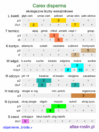 ekologiczne liczby wskaźnikowe Carex disperma (turzyca szczupła)