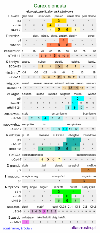 ekologiczne liczby wskaźnikowe Carex elongata (turzyca długokłosa)