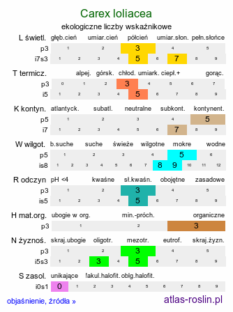 ekologiczne liczby wskaźnikowe Carex loliacea (turzyca życicowa)