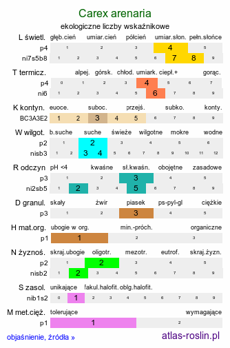 ekologiczne liczby wskaźnikowe Carex arenaria (turzyca piaskowa)