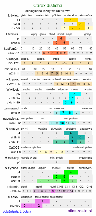 ekologiczne liczby wskaźnikowe Carex disticha (turzyca dwustronna)