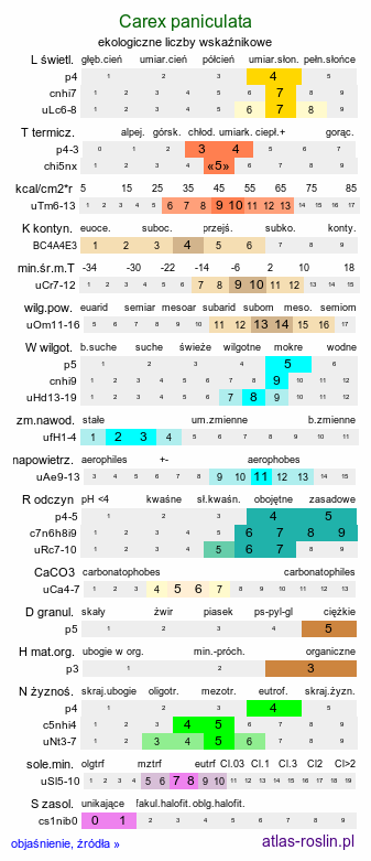 ekologiczne liczby wskaźnikowe Carex paniculata (turzyca prosowa)