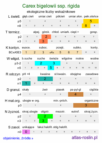 ekologiczne liczby wskaźnikowe Carex bigelowii ssp. rigida (turzyca tęga mocna)