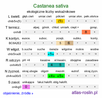ekologiczne liczby wskaźnikowe Castanea sativa (kasztan jadalny)