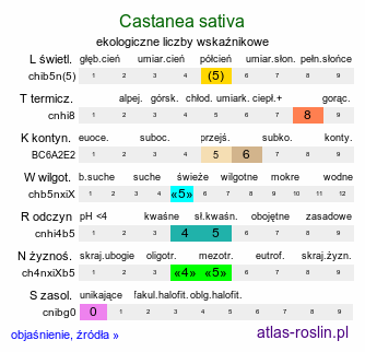 ekologiczne liczby wskaźnikowe Castanea sativa (kasztan jadalny)