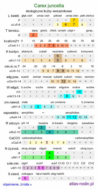 ekologiczne liczby wskaźnikowe Carex juncella (turzyca sitowata)